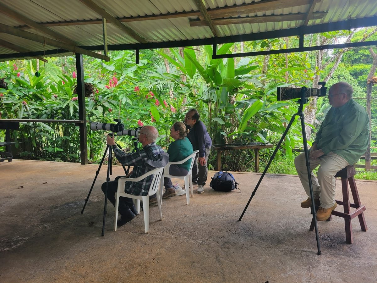 Multi-flash set up at Boca Tapada — lenses on the flowers, and the hummingbirds keeping their own schedule