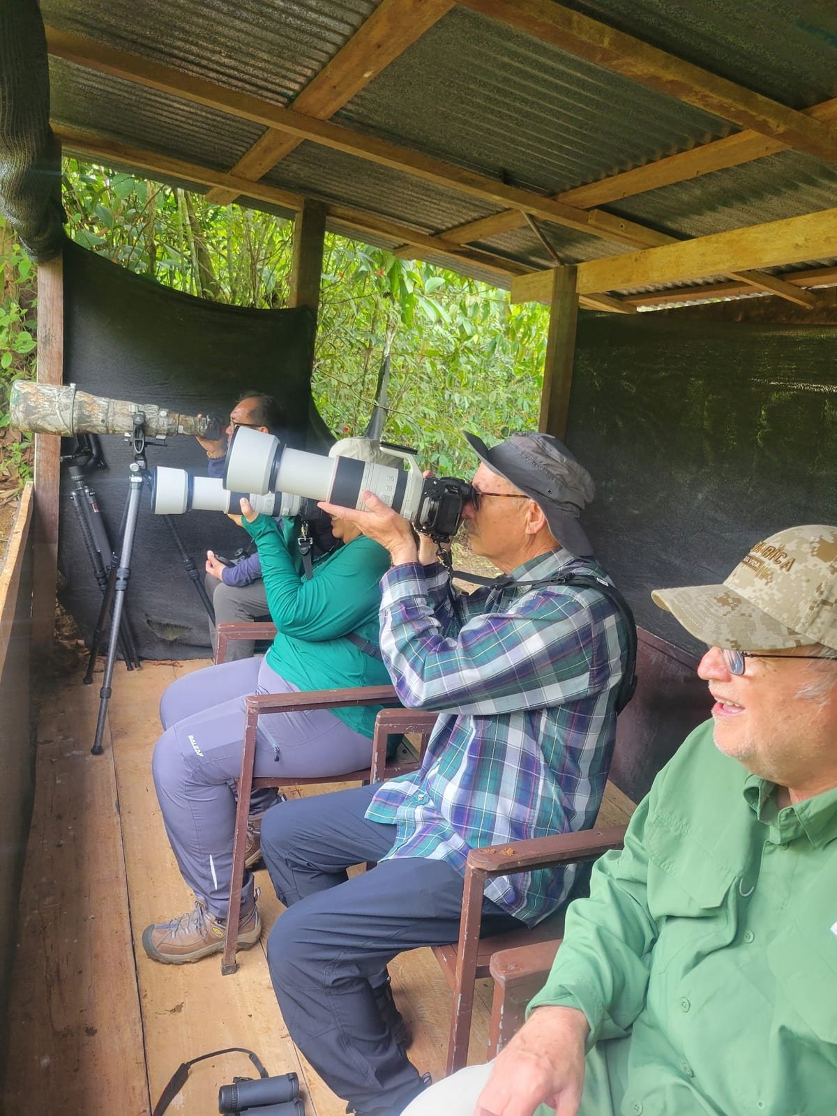 The vulture blind at Boca Tapada — a single slot, a row of lenses, and no shortage of vultures in front of them
